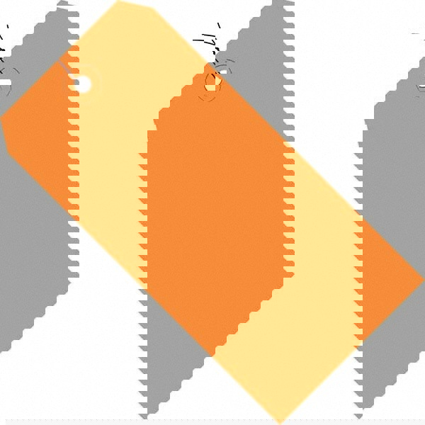 Blank Tag: 5-1/4'' High, Orange, Synthetic Paper